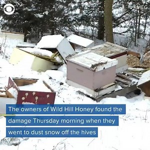 85K views · 335 reactions | "It wipes us out, you can't insure...