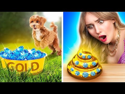 My Dog Grants Wishes! I Rescued a Homeless Pet