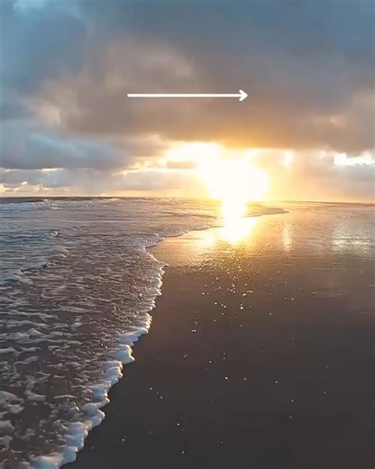 Sarah Dussault - SarahFit on Reels