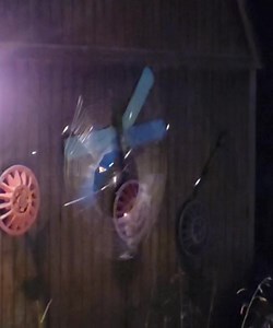 Last night found this huge spider building a web.... creepy | The Shabby Shack