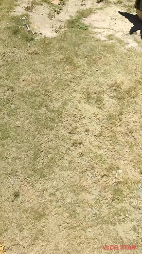 treasure sucker inside Stone deposit | Kanji Kin