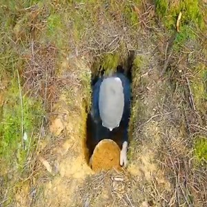 10K views · 28 reactions | Building camp in the Woods - DIY umbrella & Outdoor cooking Area - Bushcraft skills | Birdees | Facebook