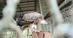 Video by Touseef Ahmed on Pexels