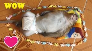 Sleeping well || Jonny after sleep, what happened to him?? Why he's so happy?? | My Monkey Jonny