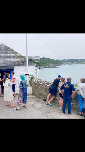 Tonight’s the night, folks. Jill Hudson’s exhibition starts at 6pm tonight with drinks then runs all weekend 11am-4pm. Hope you can make it to meet her and see her incredible collection in Portscatho! theharbourgallery.co.uk/jill-hudson-exhibition #jillhudson #cornwall #cornishart #coast #coastal #coastalliving #seabird #seagull #portscatho #stmawes #roselandpeninsula #cornishartist @jillhudsonart | The Harbour Gallery | Facebook