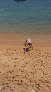 23K views · 300 reactions | Dec 28 behaviour No thoughts, just sand rolls..  25% off selected collection online with code ‘WHATDAYISIT’ Happy Smuggling ❤️‍ | Budgy Smuggler | Facebook