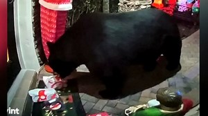 Greedy bear snatches Chick-fil-A off Florida front porch