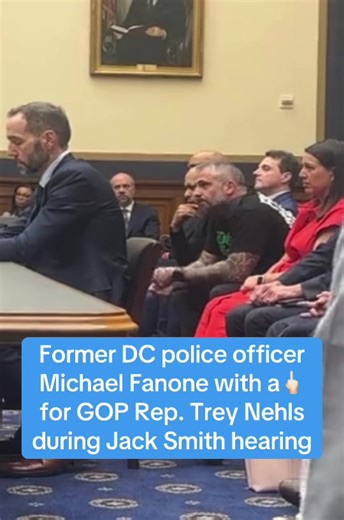 Michael Fanone's Bold Gesture Towards GOP Rep. Nehls