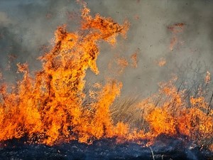 Wildfires Burn Southwest Of Denver Metro, Other Parts Of Colorado