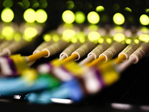 Venom bug attack feasts on programming vulnerability