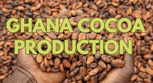 With restricted supply, Ghana’s cocoa farmers are ramping up production, and analysts expect a rise in global cocoa prices. The country, alongside Côte d'Ivoire, is a key player in the global market. #Ghana #Cocoa #Agriculture #economy | CGTN Africa | Facebook