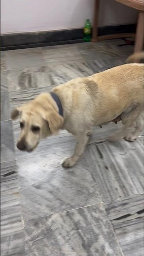 Aaloo kachalu beta ✨ 💫 🌟 😘😘😘😘😘