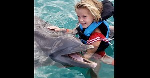 Interactive Dolphin Programs at Dolphin Discovery Grand Cayman