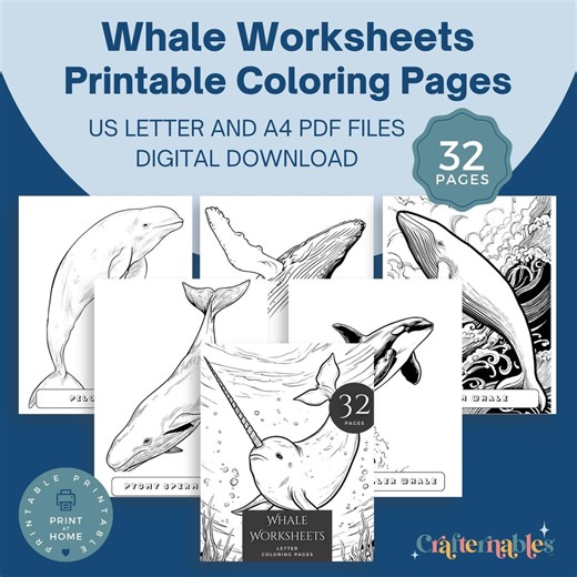 Whale Coloring Pages for Kids & Adults | Ocean Animals Art (digital Download A4/letter Sizes) - Etsy