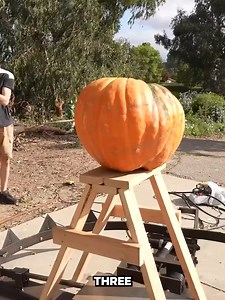 The Best Videos of 2024 | The Backyard Scientist