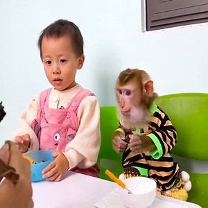 559K views · 10K reactions | Monkey Kaka and Diem were so curious to experience special taste with Banh Gai | Realtalk | Facebook