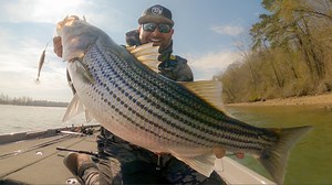 2.1K views · 118 reactions | Come along for an awesome day on the...