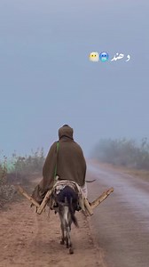 Follow me | Hello Pakistan