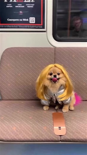 We can't get enough of this Barbie @pomkori.  | Hairdo | Facebook