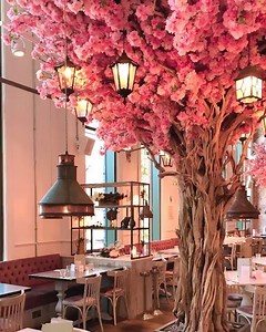 5.5K views · 80 reactions | Amazing place, The Florist, Watford London  • •  @gulshanlondon  • • •  | London Week | Facebook