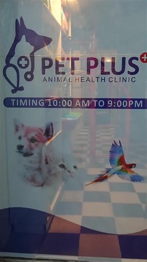 Pet Plus Animal Health Clinic Sheikhupura The first of its kind Pet Clinic with experienced Pet Practitioner is in town Now. 33, Stadium Sheikhupura #Petplussheikhupura #petcare # #petcaretips #paid | Sheikhupura Updates