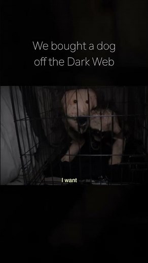 We Bought a Dog off the Dark Web.. #scary