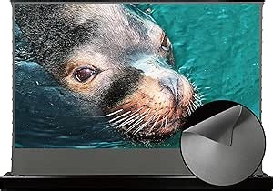 Amazon.com: Vivid Storm Since 2004-Long Focus Ambient Light Rejecting Screen Material,Motorized Floor-Rising Projection Screen,Compatible with Lumen up to 2500ANSI of Normally Projector,VSDSTALR120H : Electronics