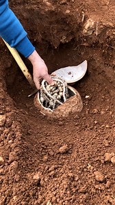 270K views · 1.1K reactions | adventure treasure #gold #found a treasure #metal detector #treasure hunting #الذهب #كنوز | Mohammed Mallouch | Facebook