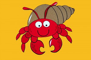 Can you set hermit crabs free? [2025] | QAQooking.wiki