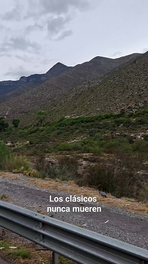 Viny Stickers on Reels