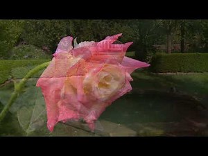 Ellen Biddle Shipman Garden