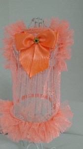 Todas las tallas. Pedidos dale click : http://api.whatsapp.com/send?phone=573152839058 Envíos a todo Colombia. We have international shipments, consult your rate to whatsapp 573152839058✈✈✈✈✈✈✈✈✈✈✈#myfashionpet #medellin #colombia #ropaparamascotas #amoamimascota #pomerania #snauzer #pincher #chihuahua #bulldog #beagle #bullterrier #caniche #pug #shitzugram #jackrussell #frenchpuddle #yorkyelife #yorkshireterrier #petspa #goldenretriever #shnauzers #pets #bulldogingles #bostonterrier #bulldogfra