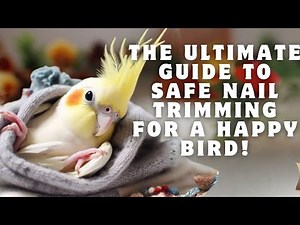 Mastering Cockatiel Care: The Ultimate Guide to Safe Nail Trimming for a Happy Bird!