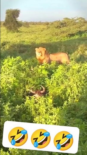 போங்க போங்க நாங்க பயப்பட மாட்டோம்