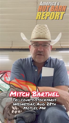 44 reactions | Tomorrow Mitch and the crew are gonna have a HOT barn on their hands! Join them ringside or buy and bid online at CattleUSA.com! | Hot Barn Report | Facebook