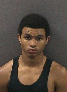 Attleboro Teen Arrested and Charged with Animal Cruelty
