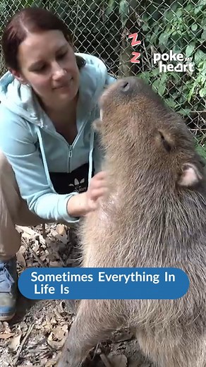 Frequent #reunions are a must if you get massages as #gifts #ReunionGoals | Poke My Heart