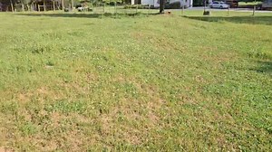 6.1K views · 80 reactions | Sunday Morning with the big boys. The...