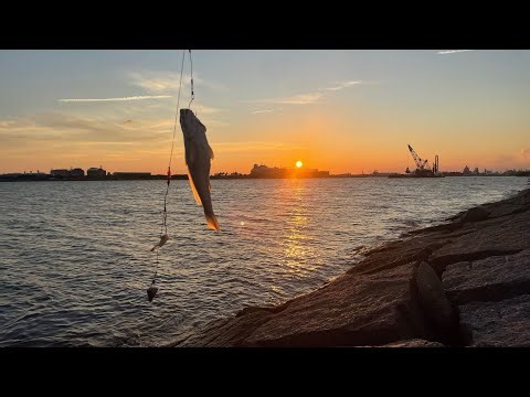 Fishing the Freeport jetties for tons of fish.