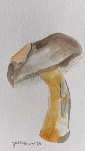 #art #owls #mushrooms #artistsofinstagram #watercolor #oilpainting #nature | Gail Robinson