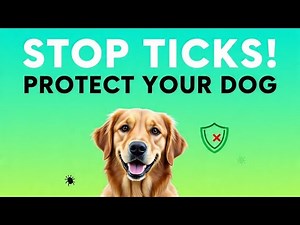 Protect your Dog From Tick's ||Stop Ticks