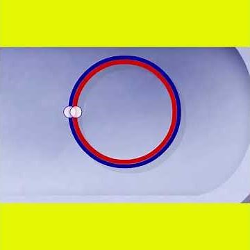 Bacterial DNA replication