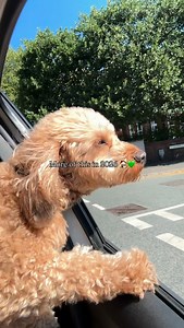 More cottage holidays, hot tub getaways, dog-friendly staycations and family retreats in 2026 🏠💚 Save up to 30% off on 200,000 breaks in our BIG 2026 SALE - any break, any date! 🤩 (Link in bio) T&C’s apply. See website for details. | cottages.com