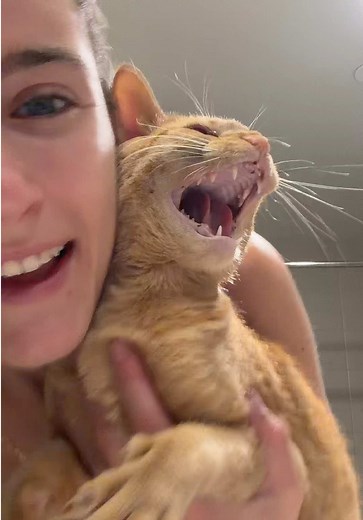 Hissing in the showaaa🎶🐈🚿 #fyp #cat #funny #viral #trending | cats