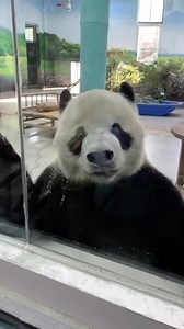 25K views | Butterflyy. on Reels | Facebook