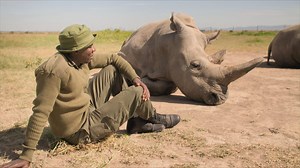 The Last Two White Rhinos | Extinction: The Facts
