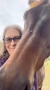 How to be better for your horse… | Dressage Naturally with Karen Rohlf-Training, Clinics, Educational Material