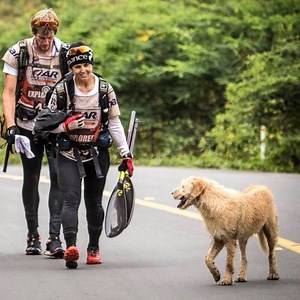 122K views · 3.3K reactions | Une rencontre inattendue  | Féroce | Facebook