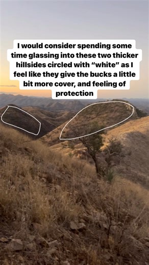 Video from Instagram friend. What do you think of this AZ coues country for October/November and Early December hunts? 🤷🏼‍♂️ In my opinion it’s too open of country to allow mature bucks to feel safe in when most units have 3-4 hunts per year. They might come chase does in January during the rut here but there is very little cover for them in October they December. My preference would be some of those open hill sides but then on the north, north east and east facing slopes, a lot thicker timber