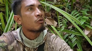 Jaguar kicau on Reels